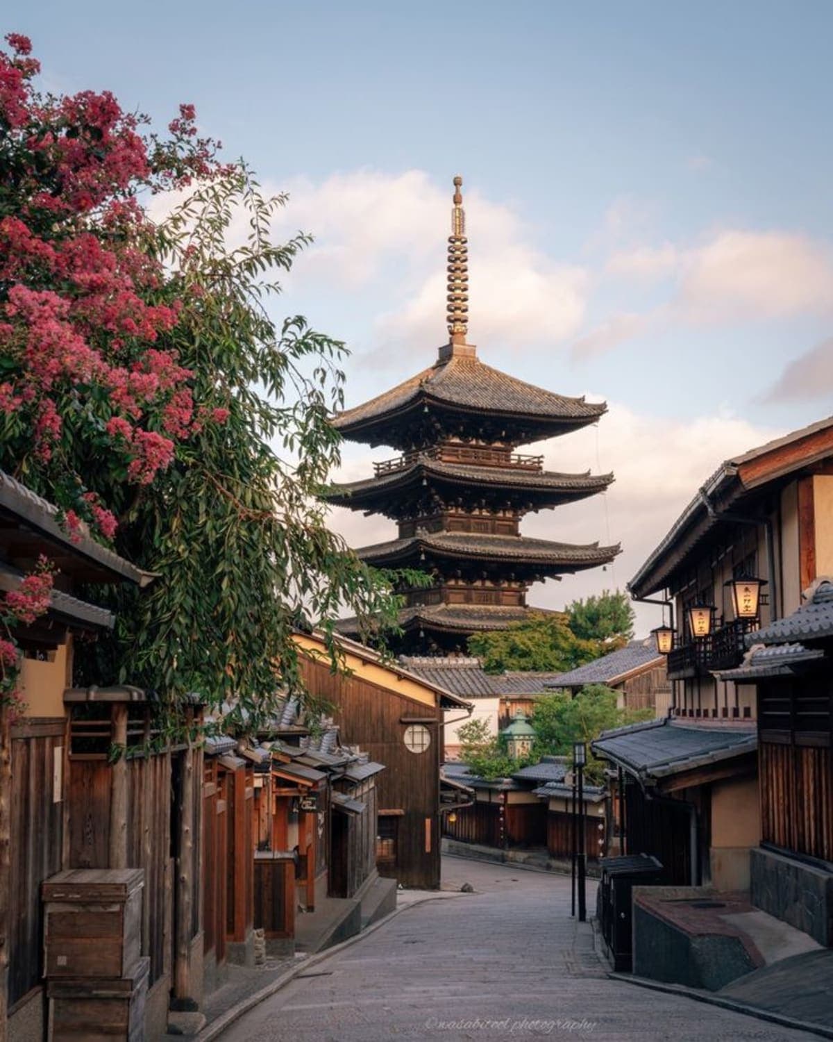 Tokyo: Customizable Day Trip Within Tokyo & English-Driver