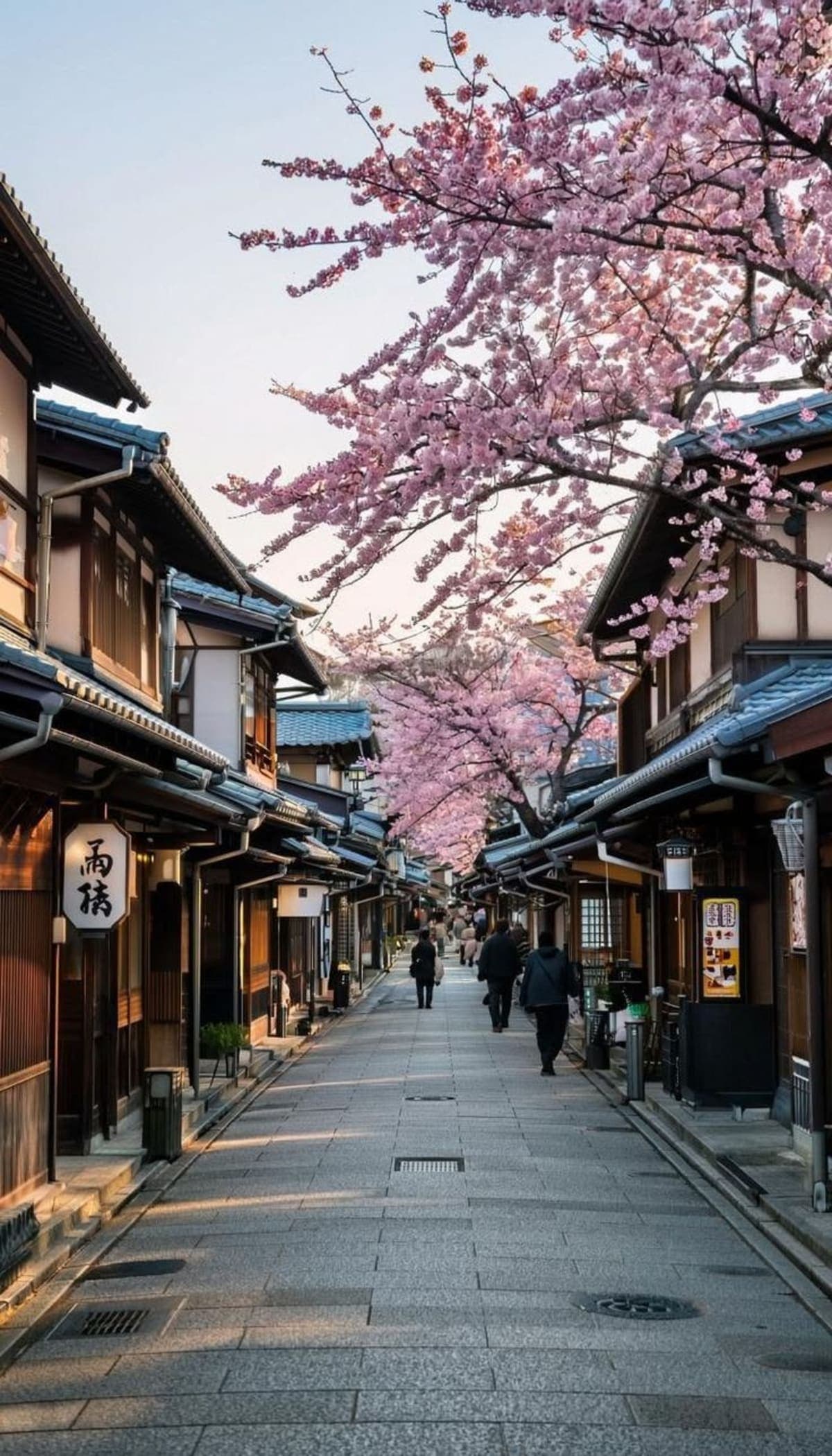 Tokyo: Customizable Day Trip Within Tokyo & English-Driver