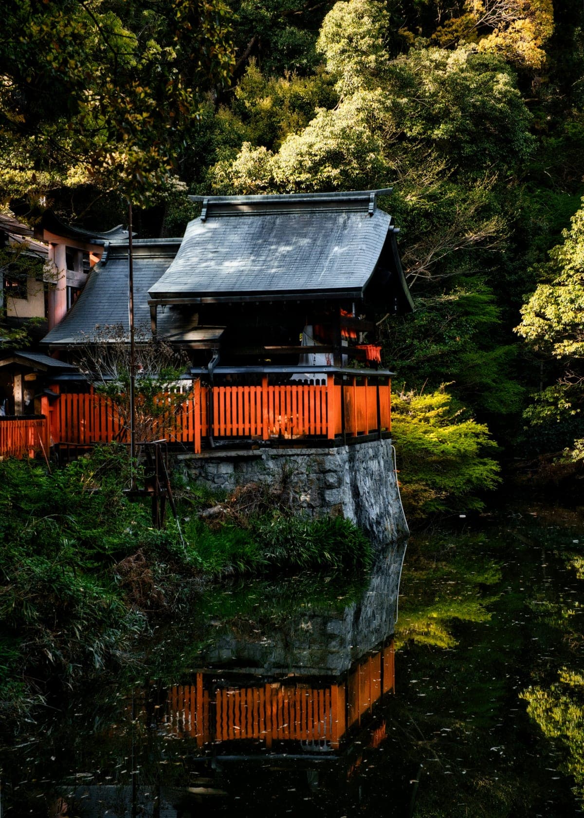 Nara: Kasuga Taisha, Sacred Deer Shrine Guided Tour