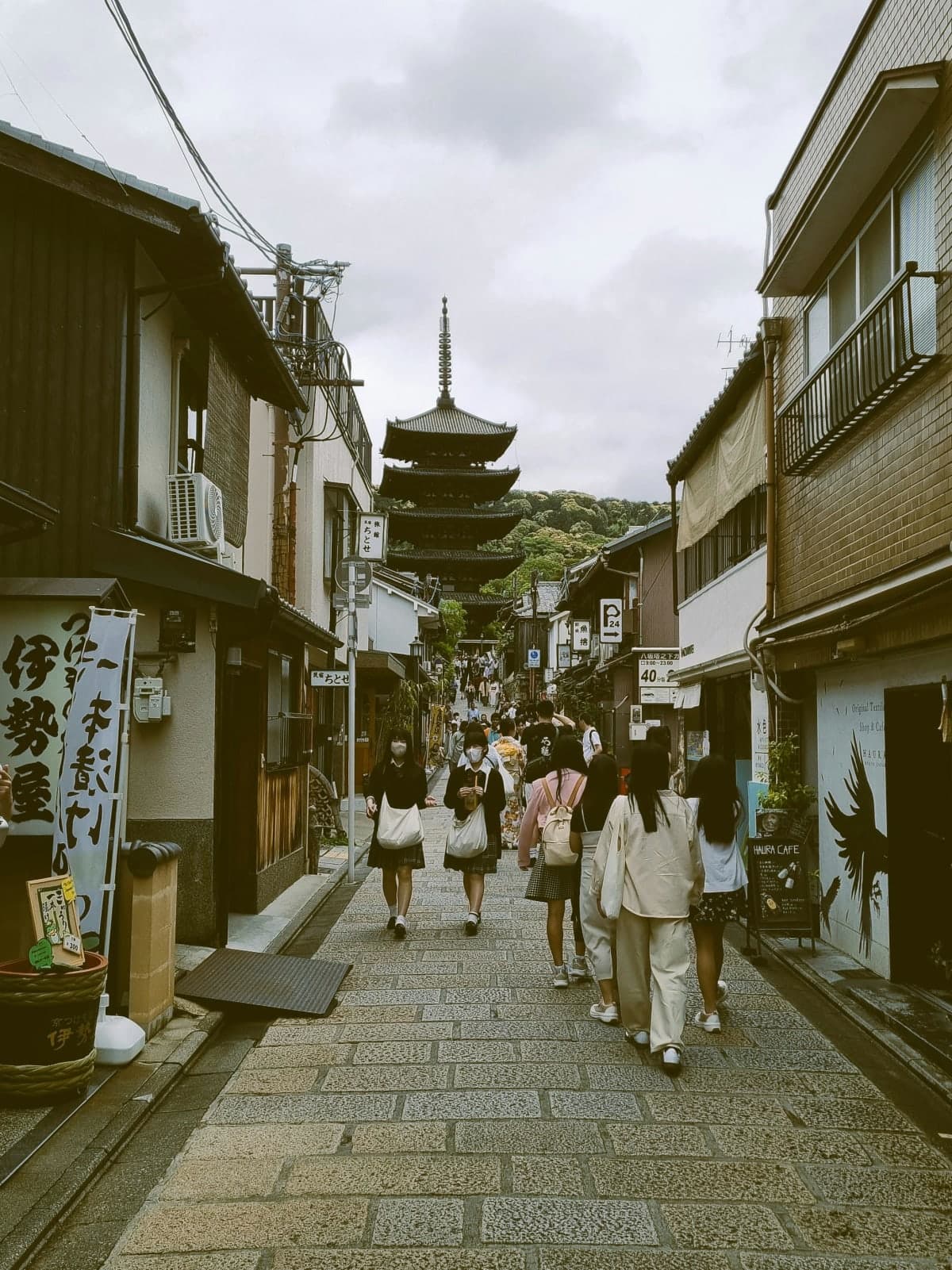 Kyoto: Private Customizable Day Tour with Guide and Vehicle