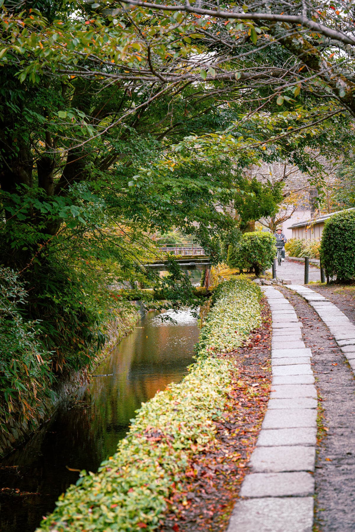 Kyoto: Private Customizable Day Tour with Guide and Vehicle