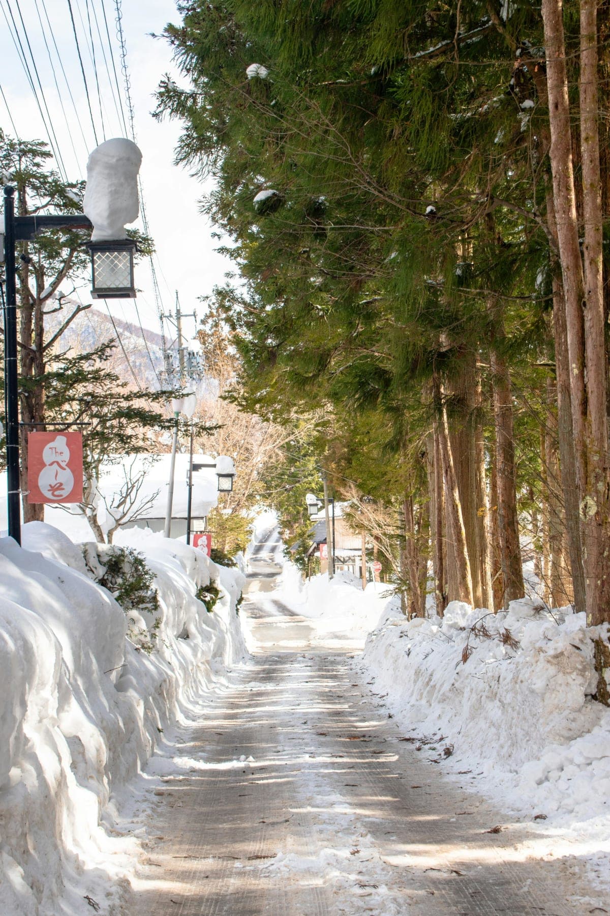Nagano Tokyo: Snow Monkey Private Day Tour Hotel Pick & Drop