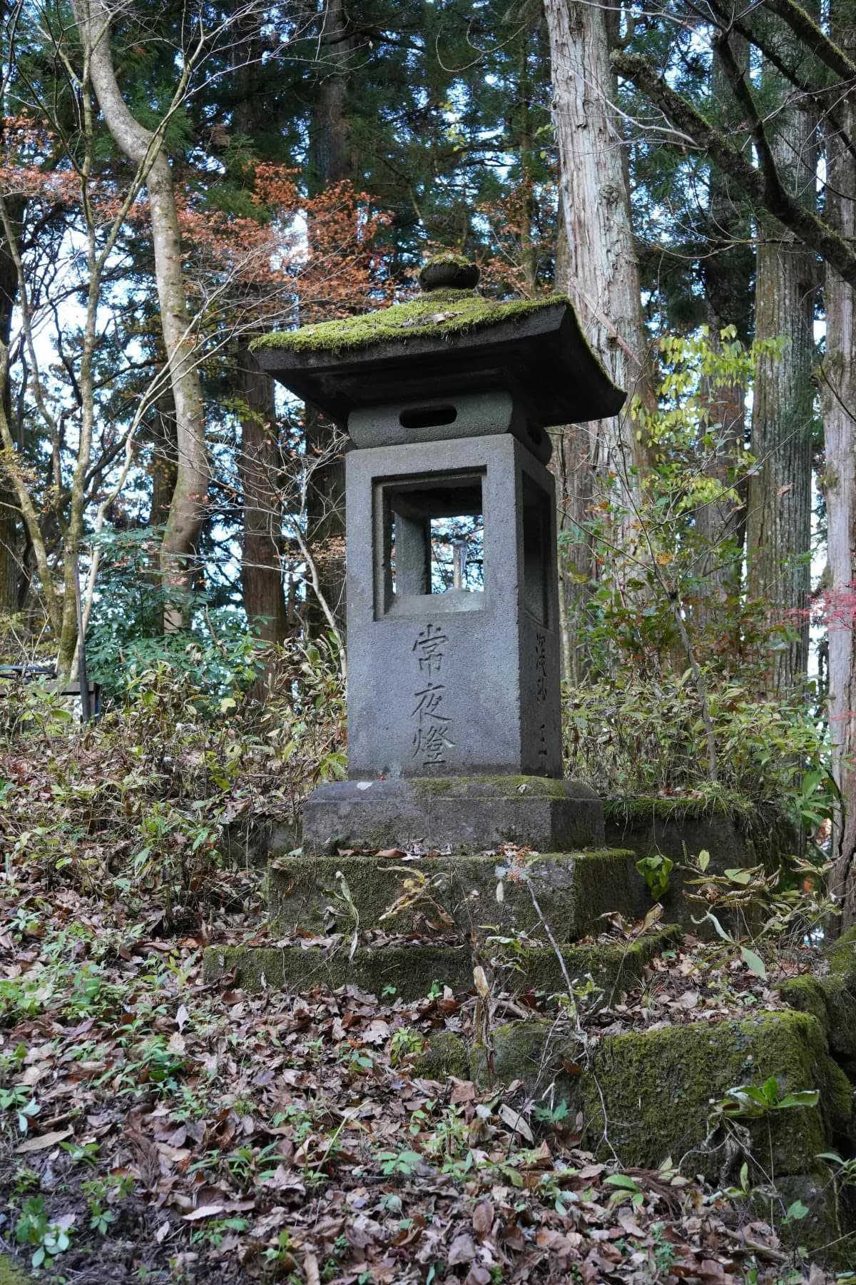 Tokyo to Nikko Private Customizable Full Day Tour W/D Driver