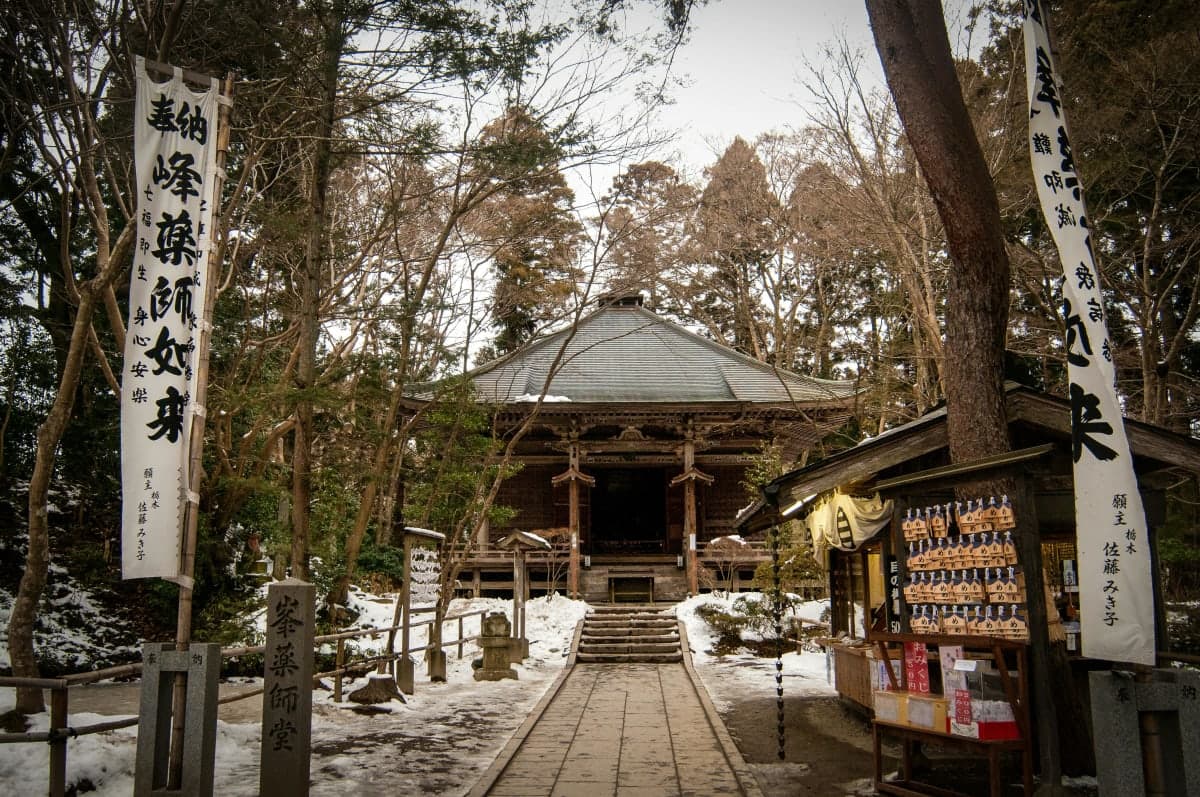 Tokyo to Nikko Private Customizable Full Day Tour W/D Driver