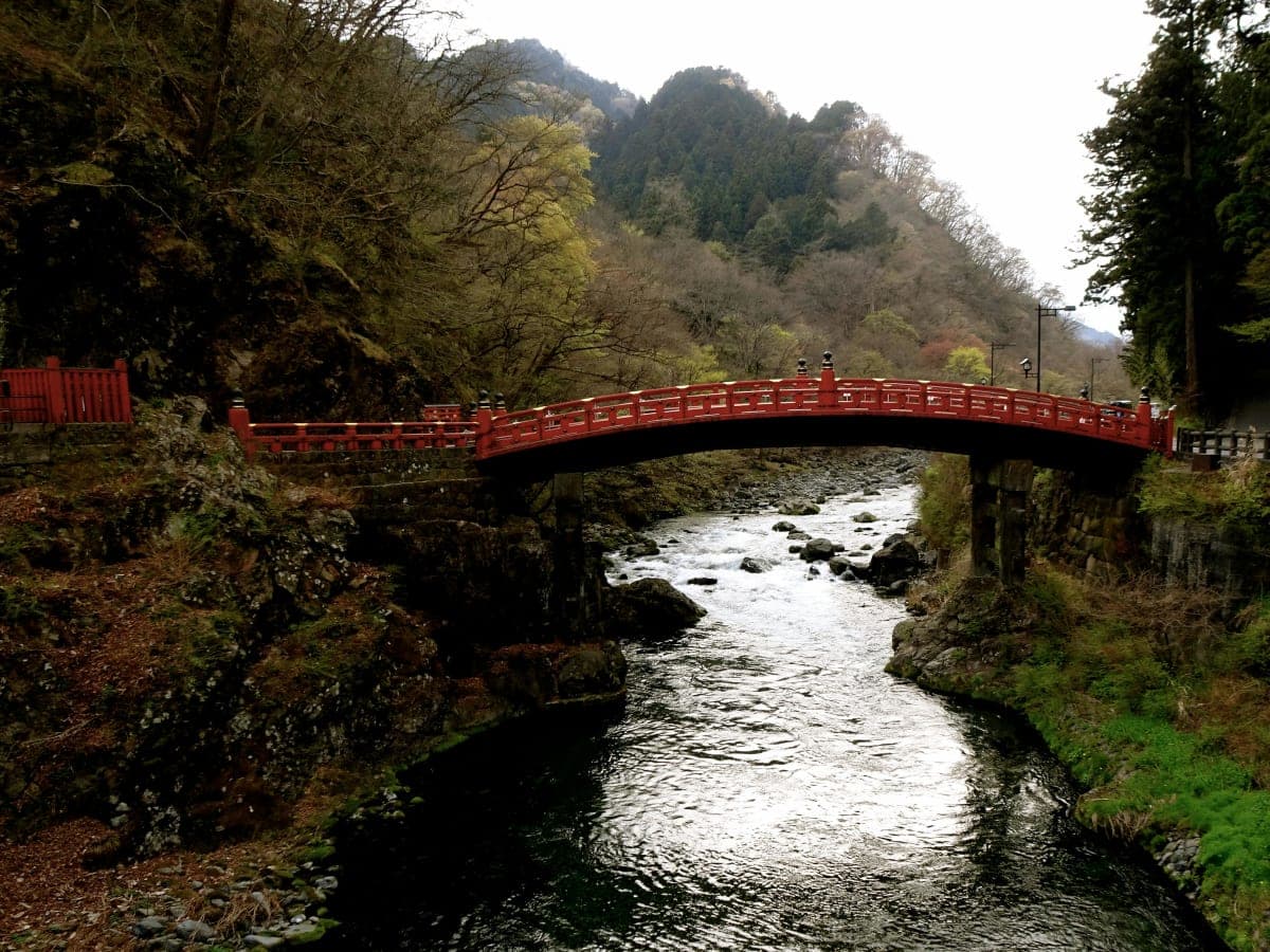 Tokyo to Nikko Private Customizable Full Day Tour W/D Driver