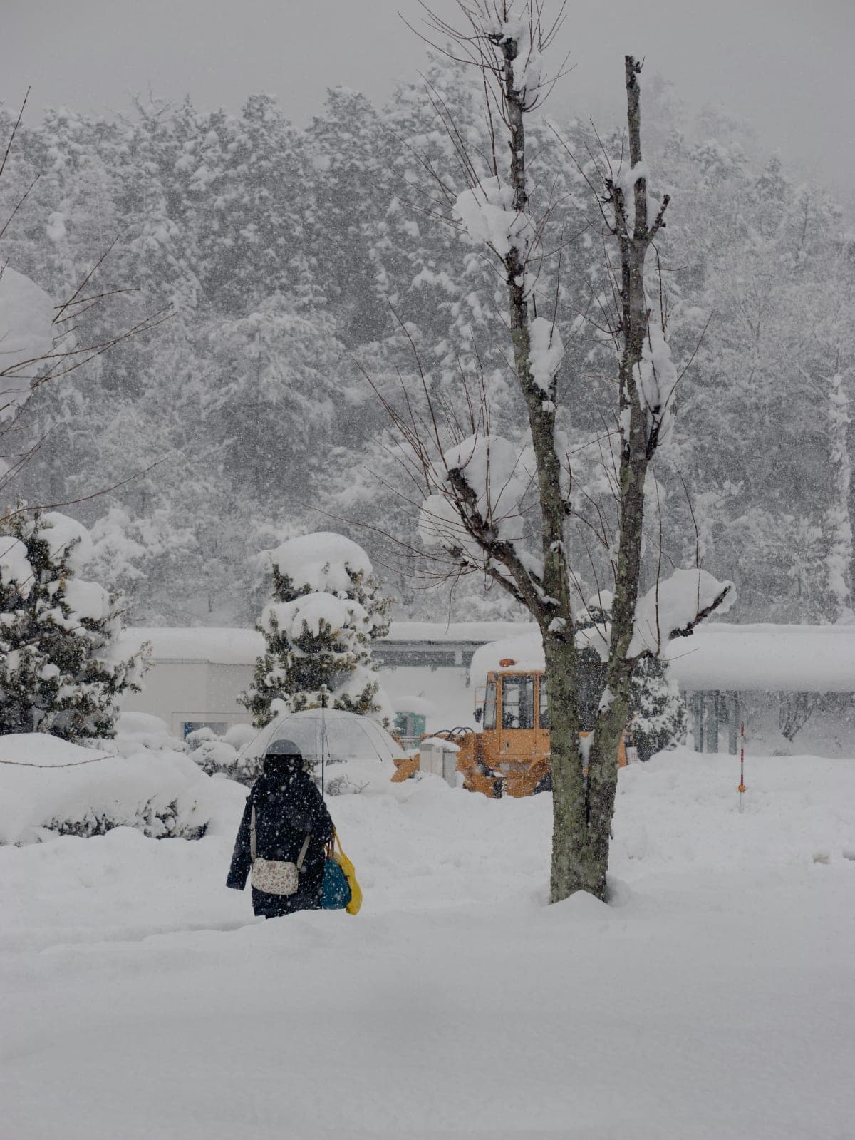 Ivalo: Snowshoeing Trek with Guide and Snacks