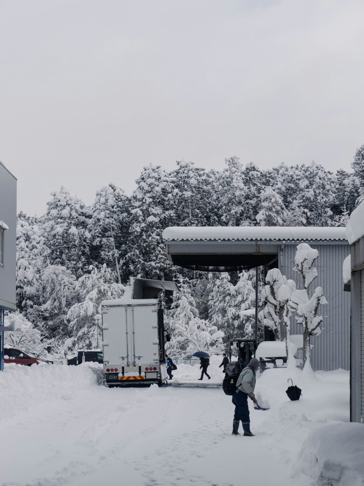 Ivalo: Snowshoeing Trek with Guide and Snacks