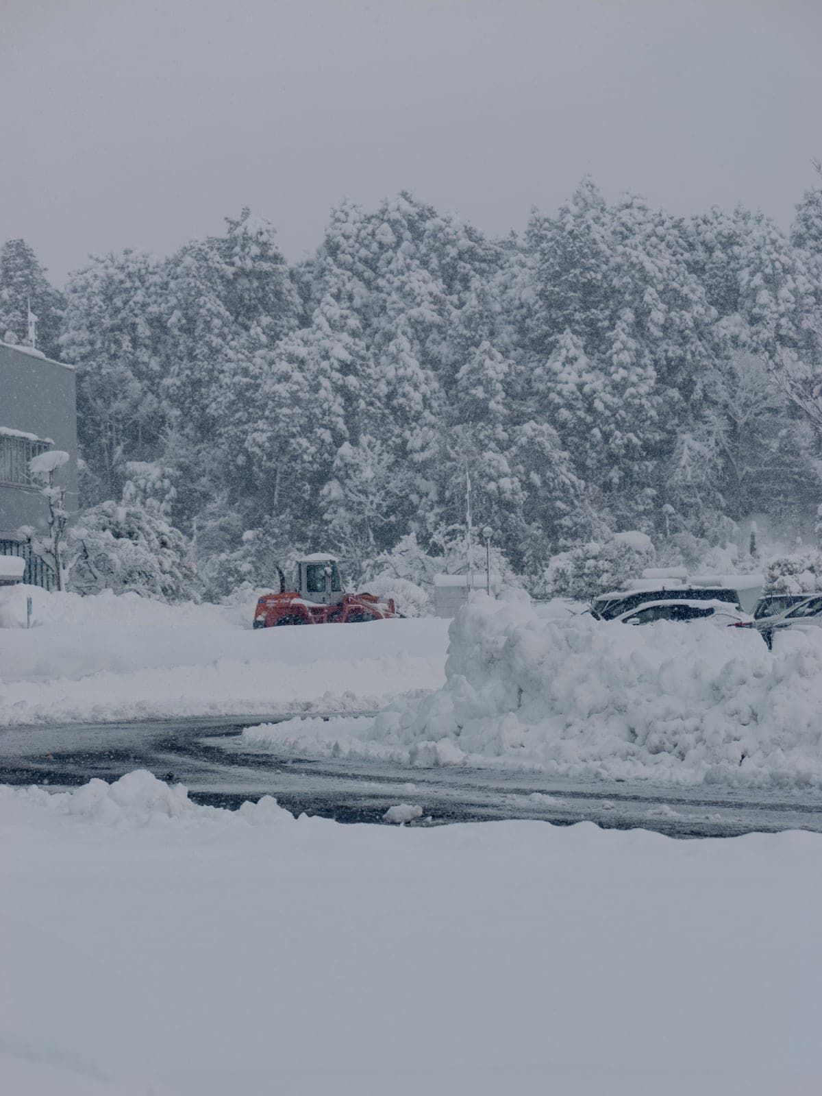 Ivalo: Snowshoeing Trek with Guide and Snacks