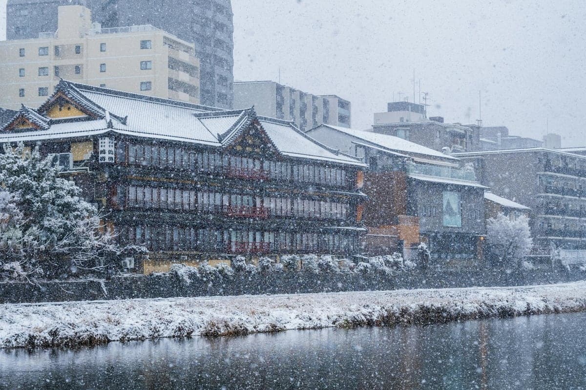 Ivalo: Snowshoeing Trek with Guide and Snacks