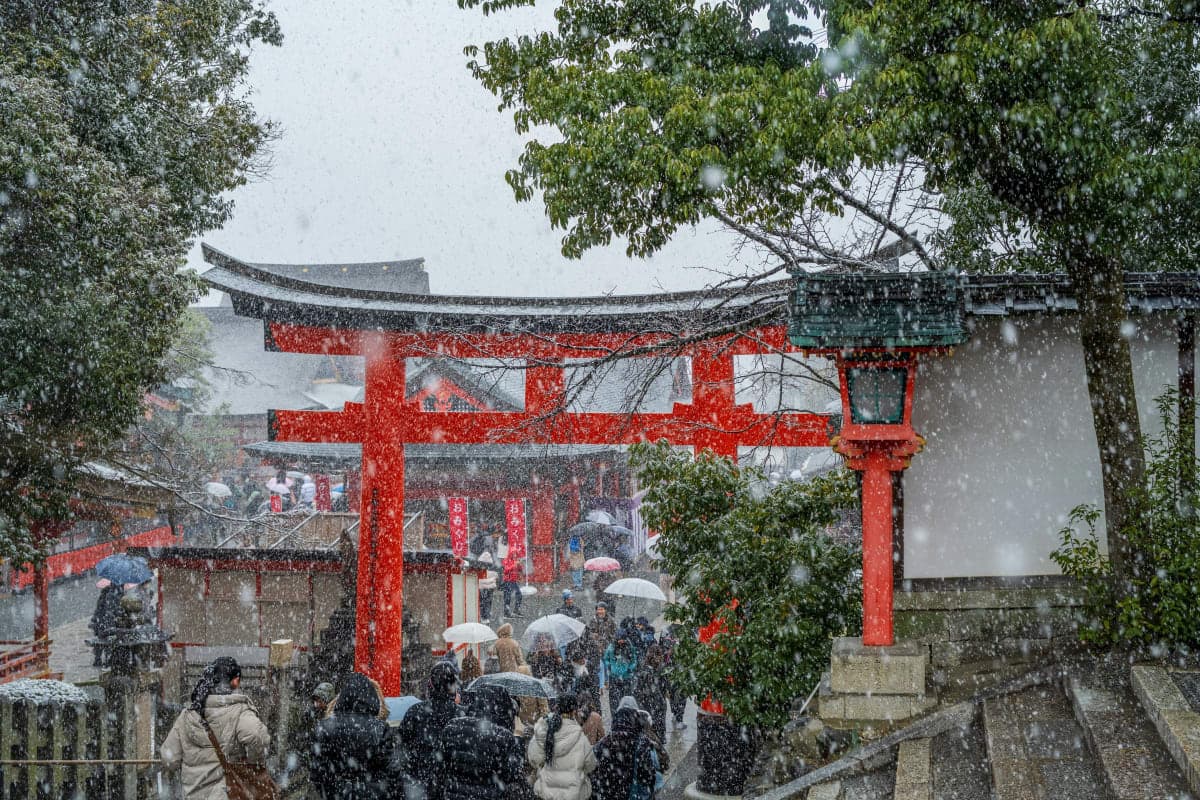 Ivalo: Snowshoeing Trek with Guide and Snacks