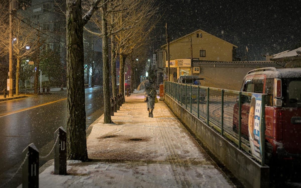 Ivalo: Snowshoeing Trek with Guide and Snacks