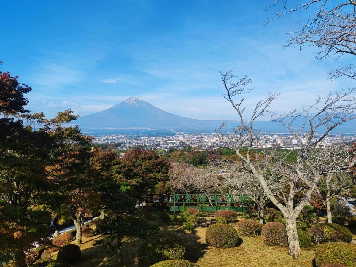 Tokyo:Customizable Private Day Trip to Mt.Fuji & Safari Park