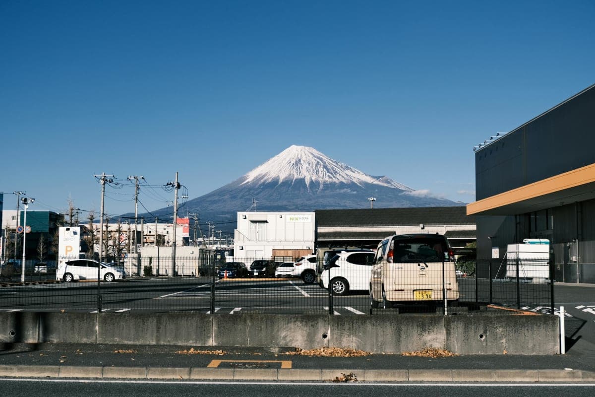 Tokyo:Customizable Private Day Trip to Mt.Fuji & Safari Park