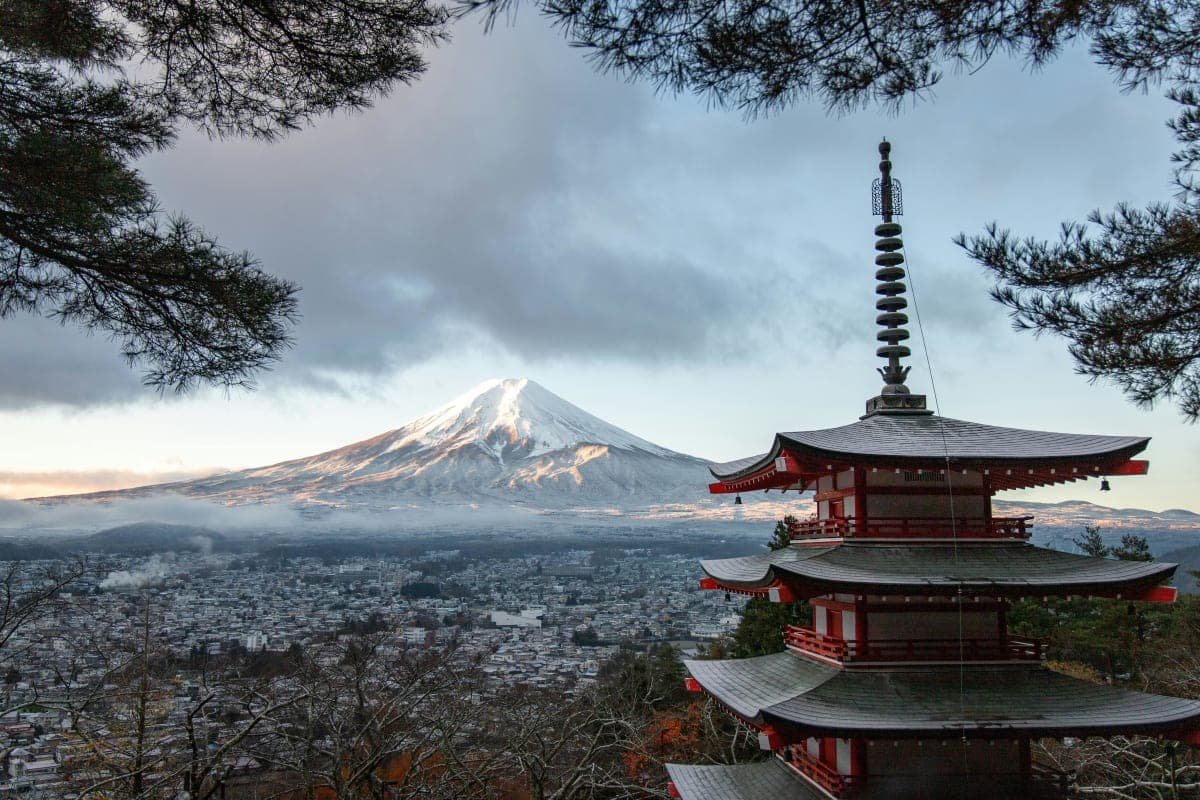 From Tokyo: Mount Fuji Private Tour With English Guide