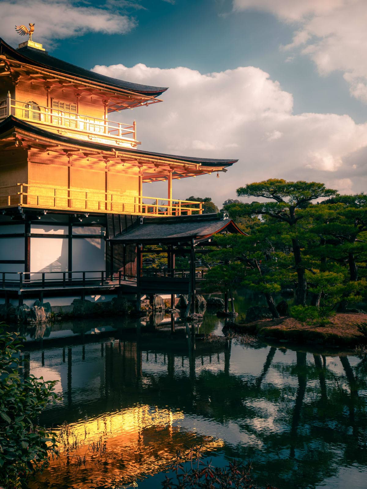 Golden, BC: Golden Skybridge Bridge Pass Admission