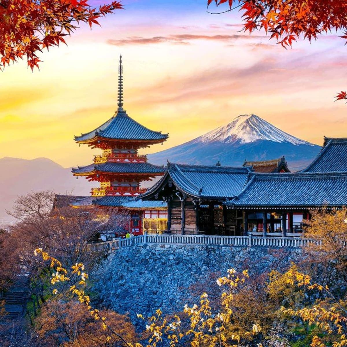 Lake Kawaguchiko & Mt. Fuji Ropeway Panorama Full-Day Tour