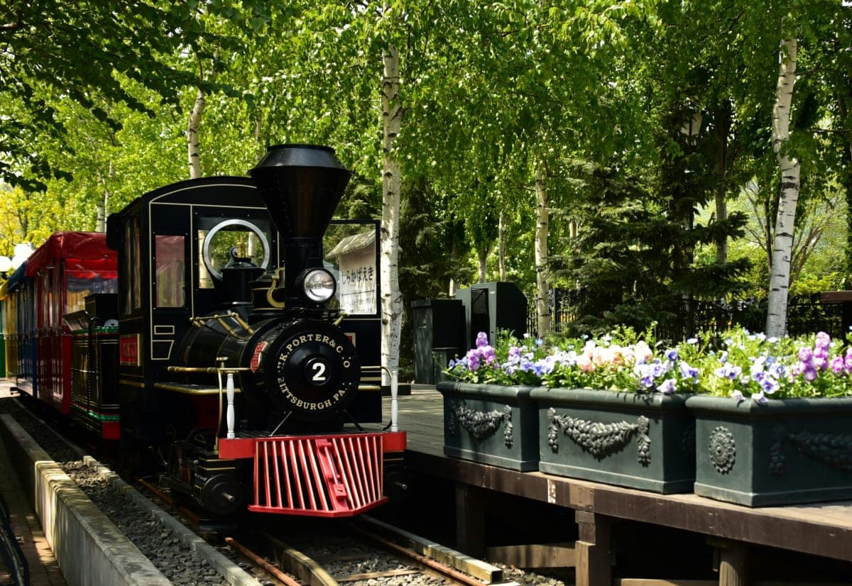 Hakone: Train Pass with Unlimited Rides & Activity Discounts