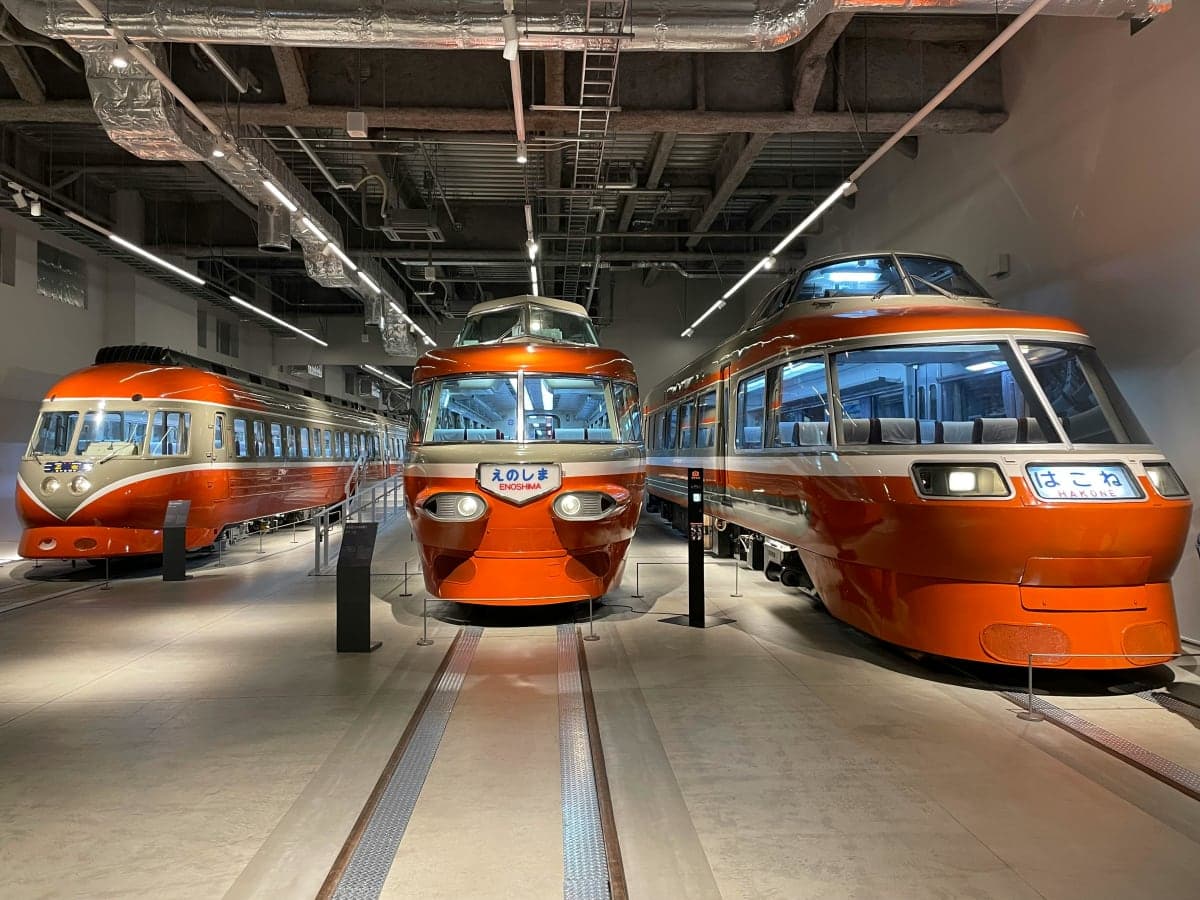 Hakone: Train Pass with Unlimited Rides & Activity Discounts