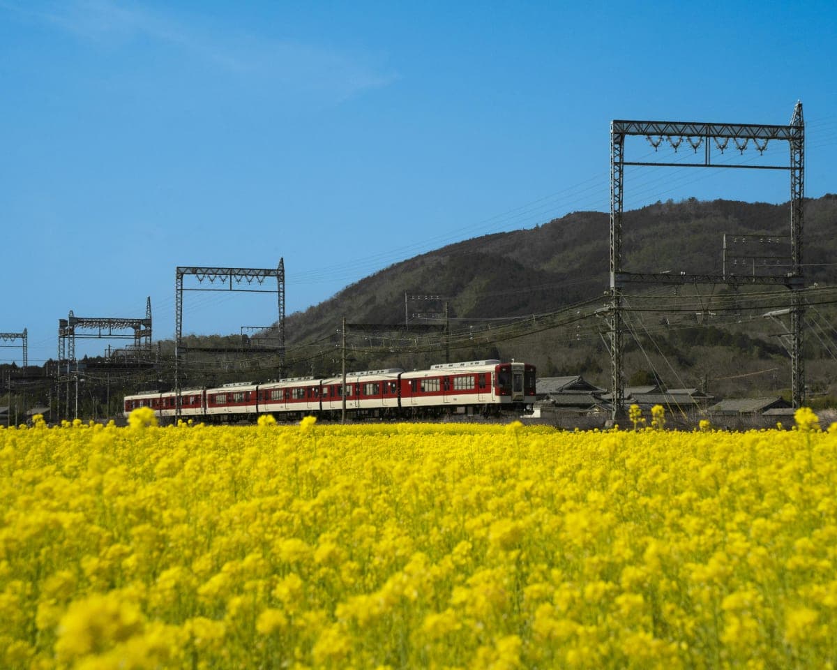 Hakone: Train Pass with Unlimited Rides & Activity Discounts