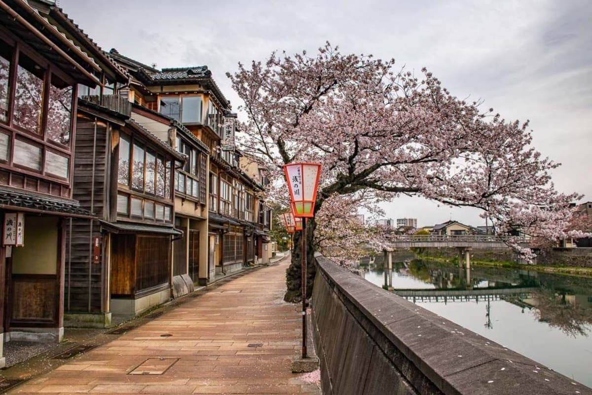 Kanazawa Full Day: Samurai, Matcha & Garden Experience.