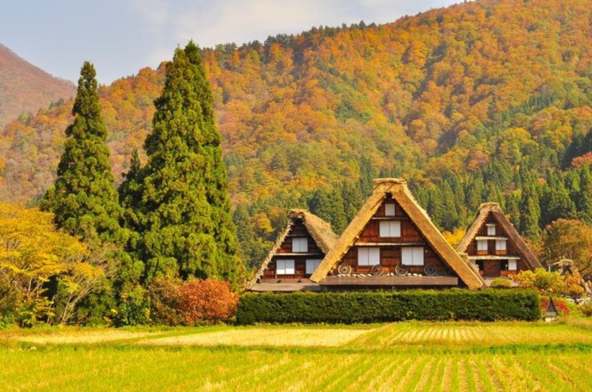 From Kanazawa/Toyama: Shirakawago and Takayama Day Tour