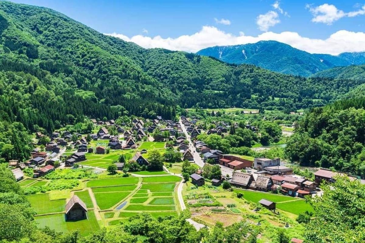 From Kanazawa/Toyama: Shirakawago and Takayama Day Tour