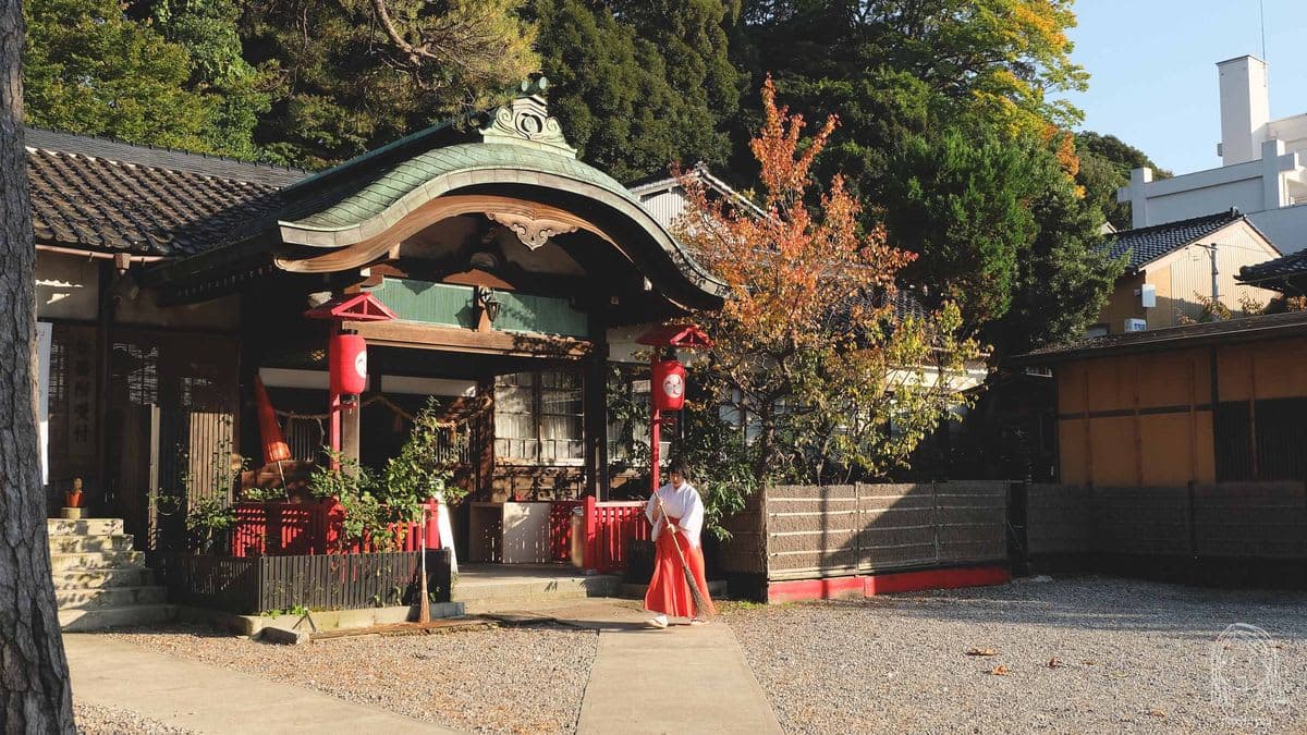From Kanazawa: Shirakawa-go, Gokayama and Wood Carving Art