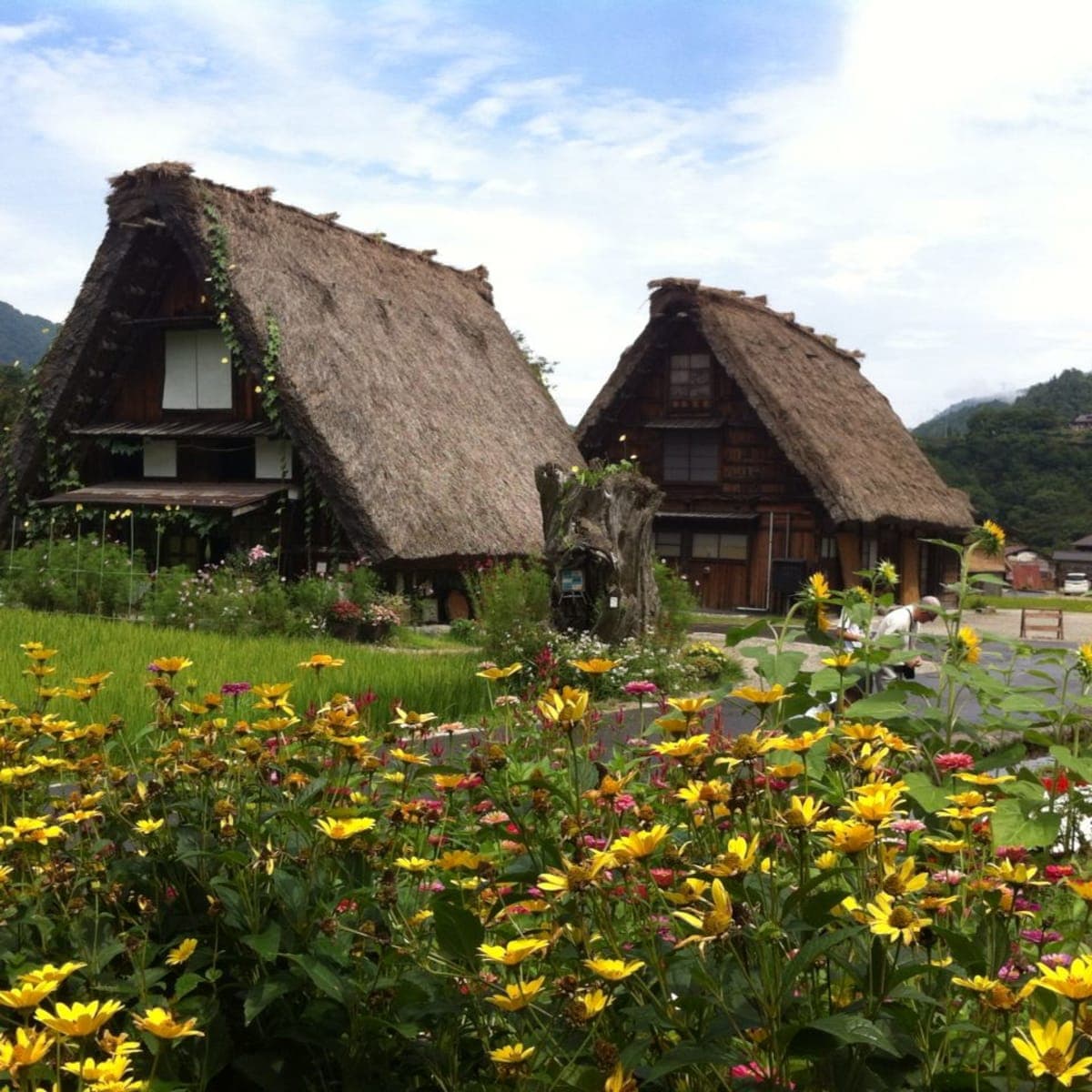 From Kanazawa: Shirakawa-go, Gokayama and Wood Carving Art