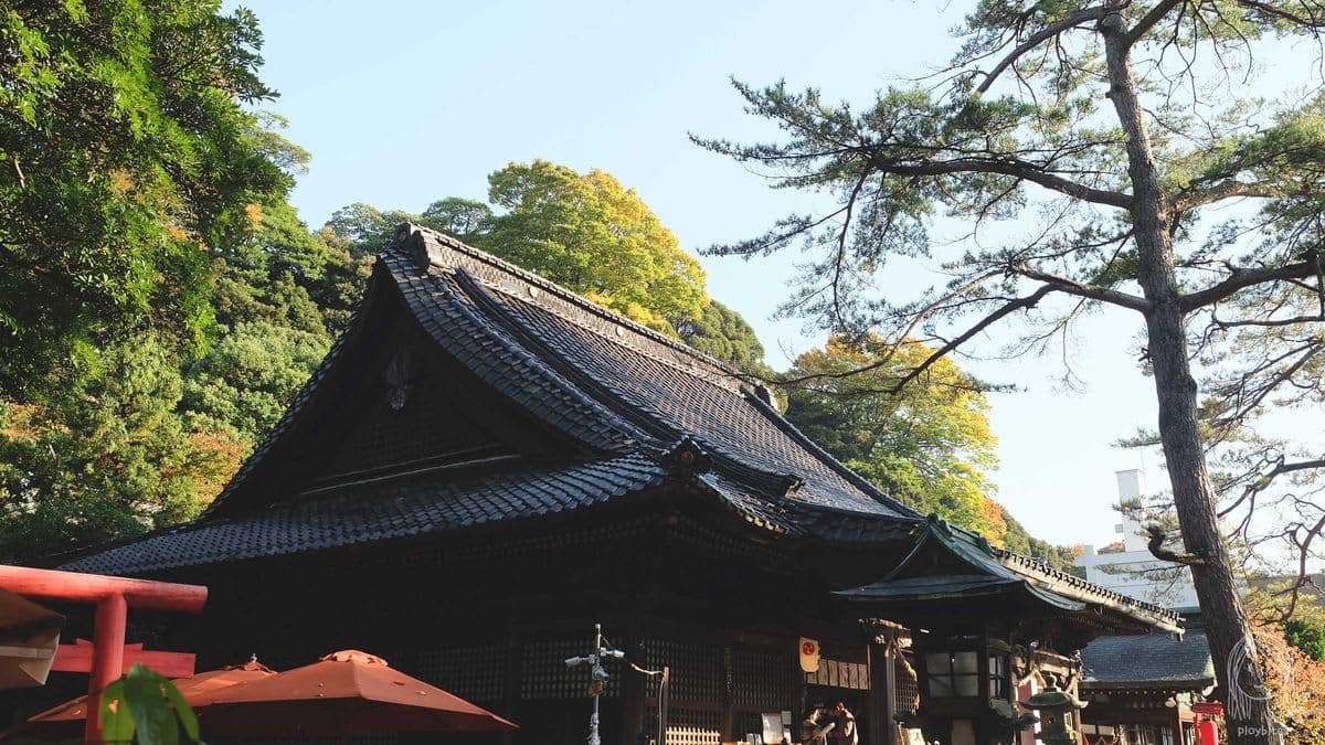 From Kanazawa: Shirakawa-go, Gokayama and Wood Carving Art