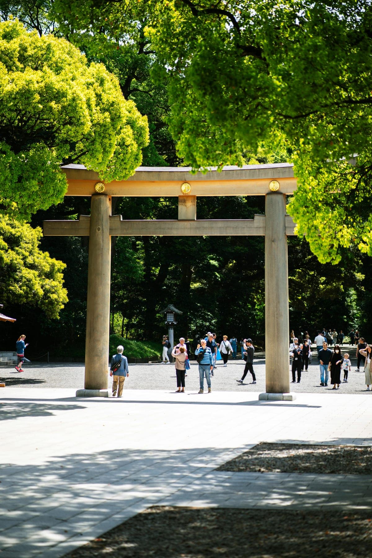 Tokyo Full Day Customizable Private Tour with English Guide