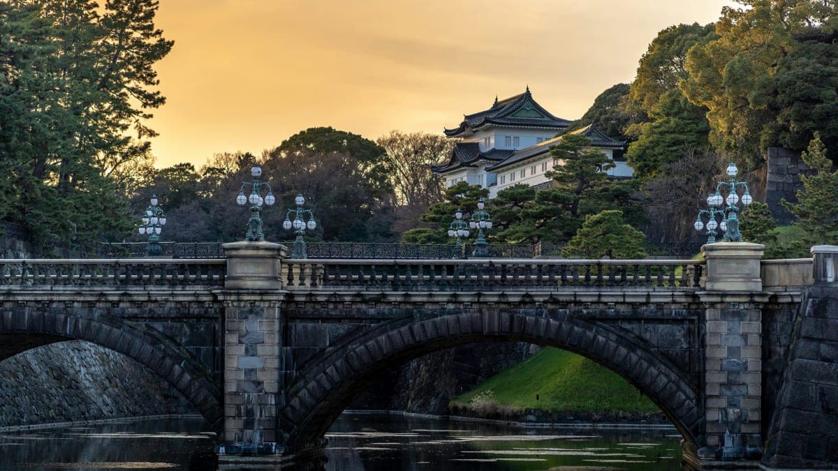 Tokyo Full Day Customizable Private Tour with English Guide