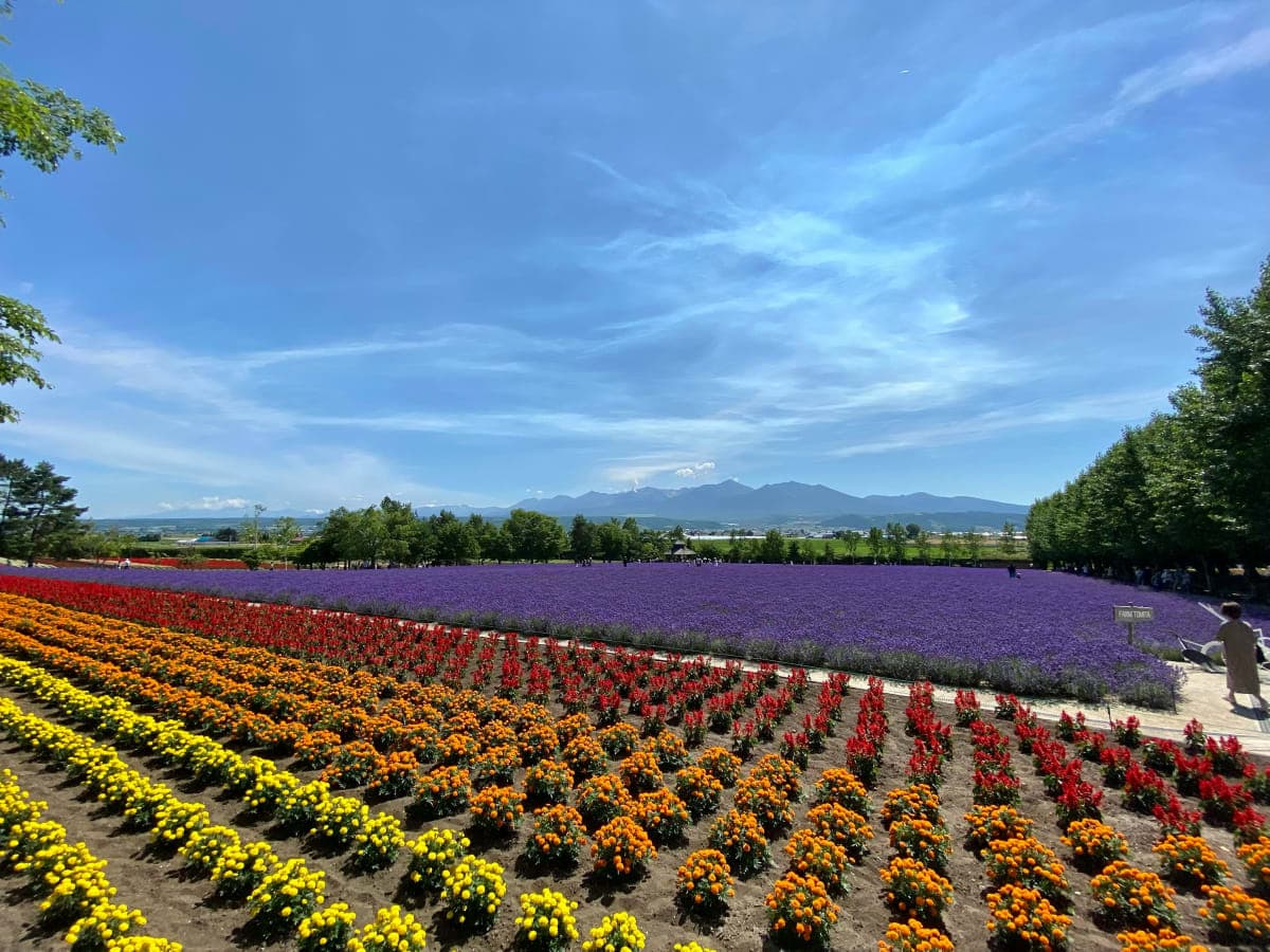 From Furano Lavender Fields: Flower fields Villages Full-Day Tour