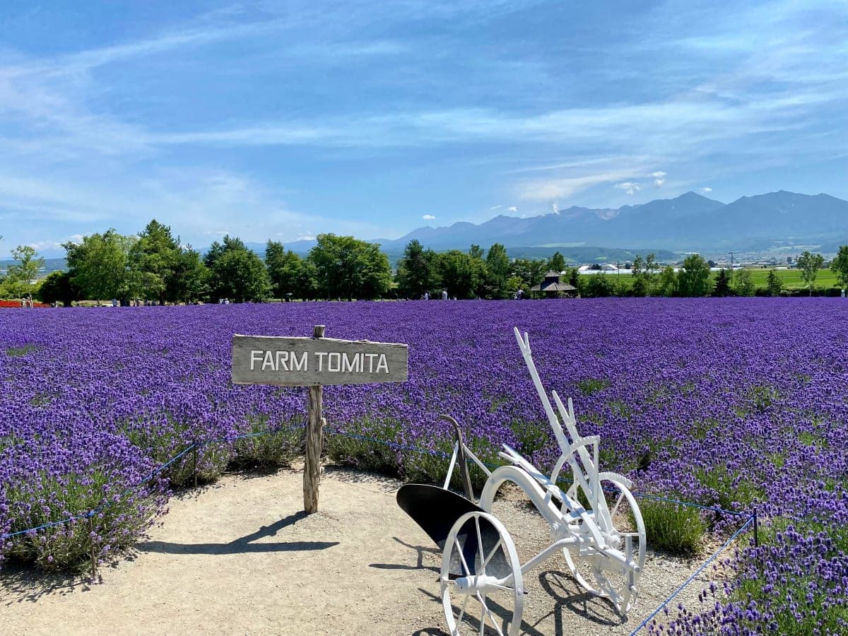 From Furano Lavender Fields: Flower fields Villages Full-Day Tour