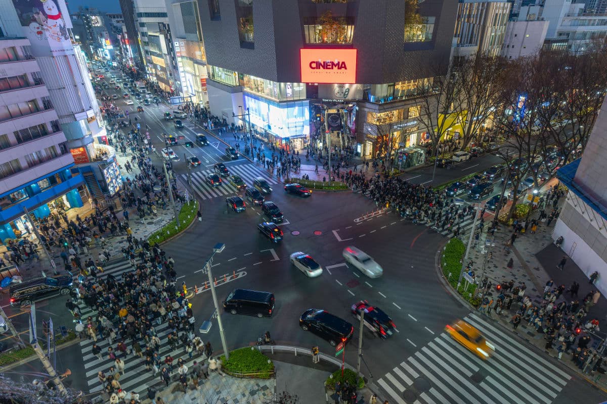 Tokyo Full Day Customizable Private Tour with English Guide