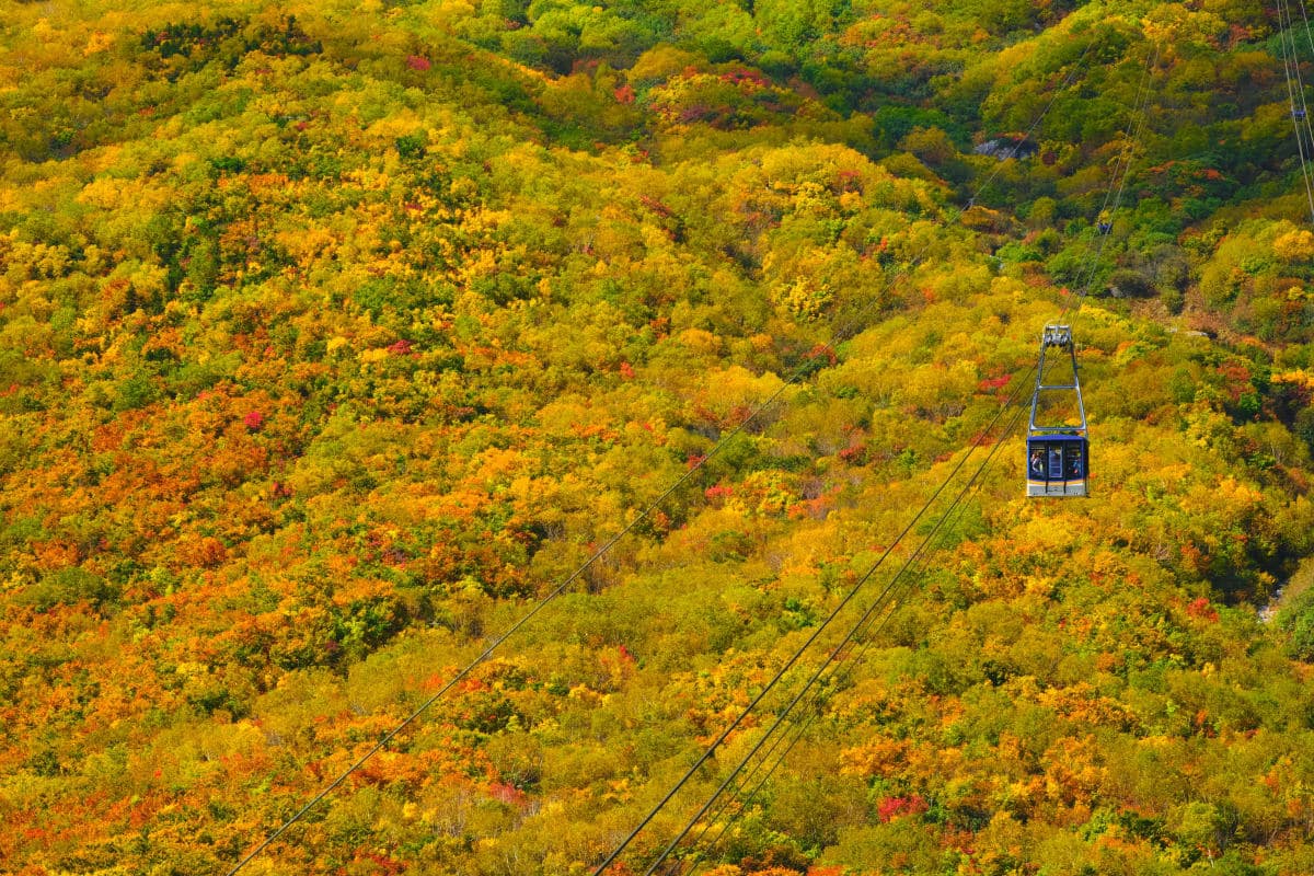 Hakone: Hakone Ropeway One-Way / Round-Trip E-Ticket