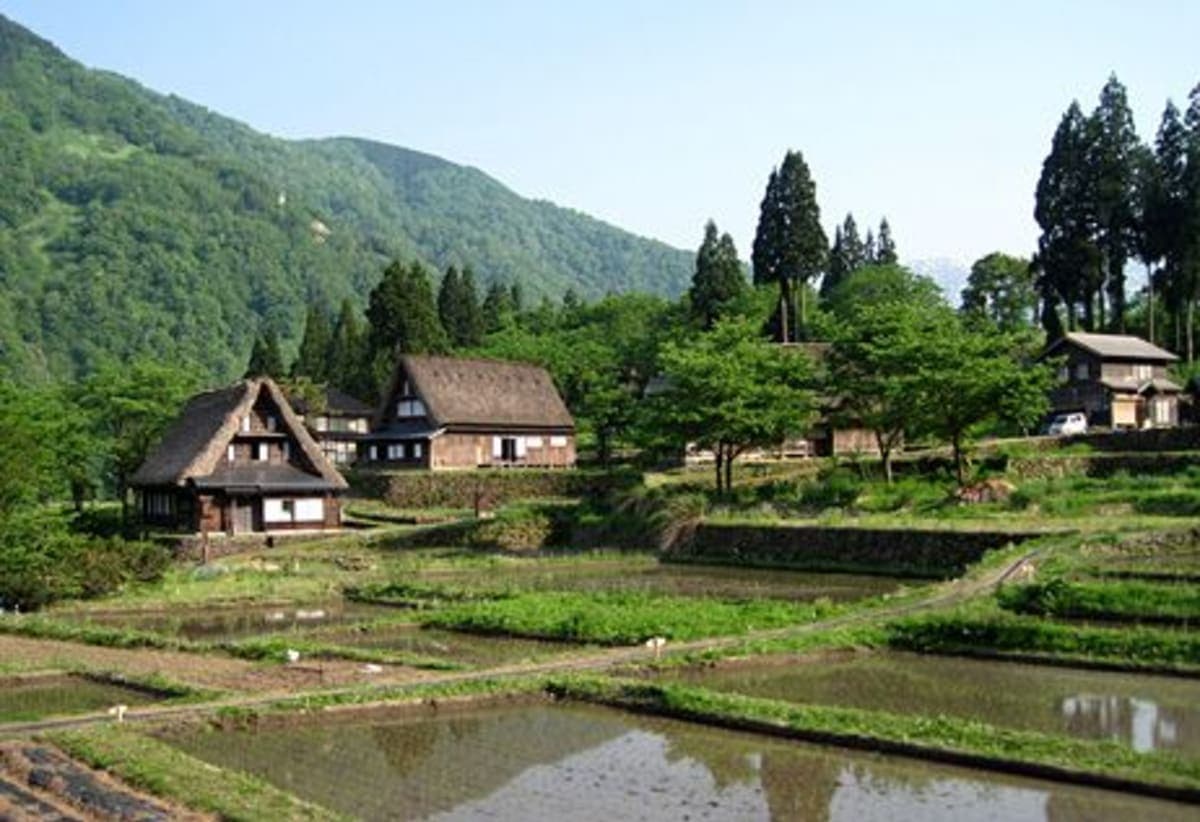 From Osaka: Day Trip to Shirakawago & Kanazawa