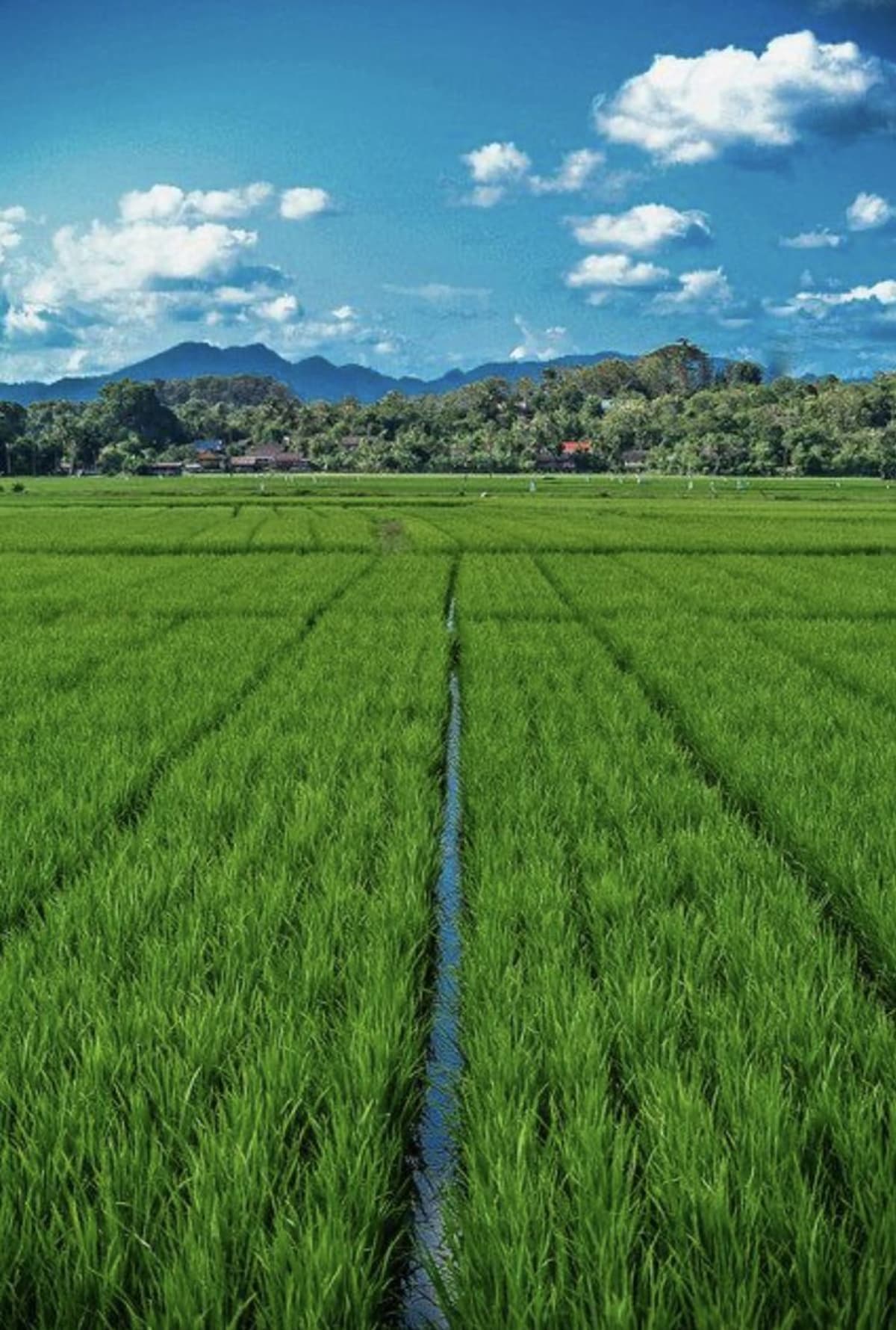 From Osaka: Day Trip to Shirakawago & Kanazawa