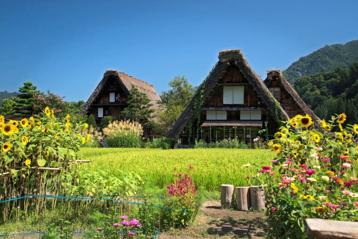 From Osaka: Day Trip to Shirakawago & Kanazawa