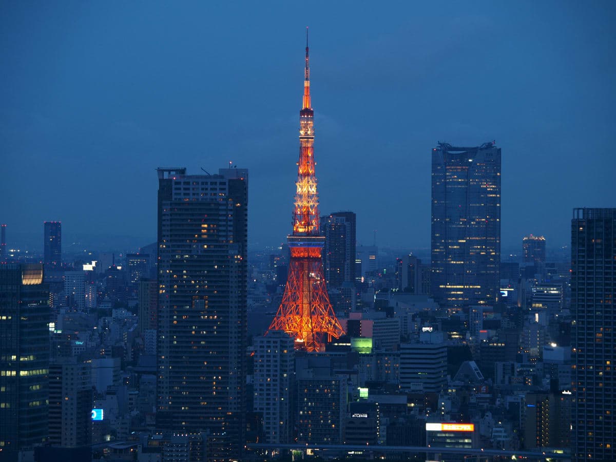 Tokyo Full Day Customizable Private Tour with English Guide