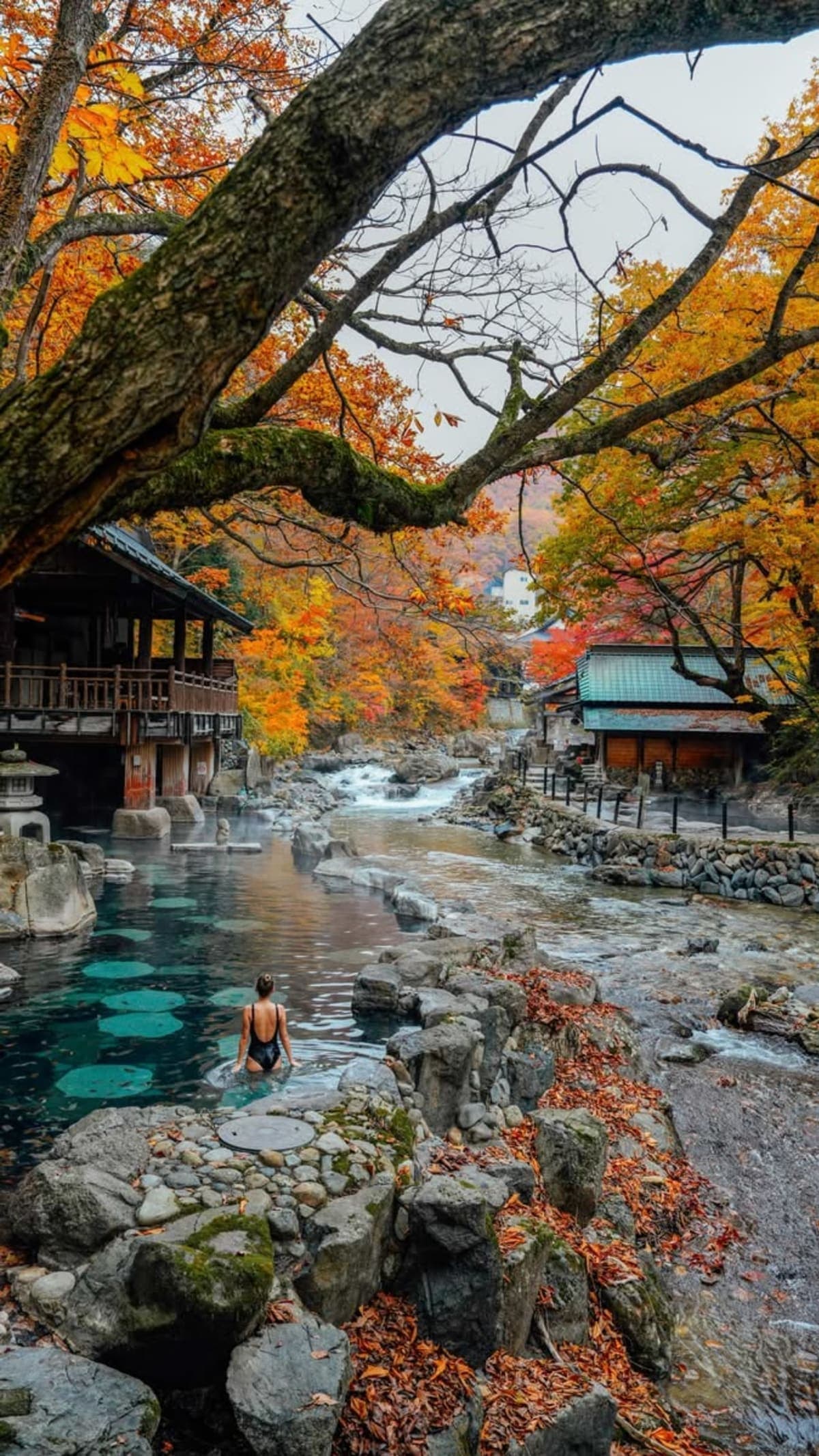 From Kanazawa: Kurobe Gorge, Unazuki Onsen, and Shomyo Falls