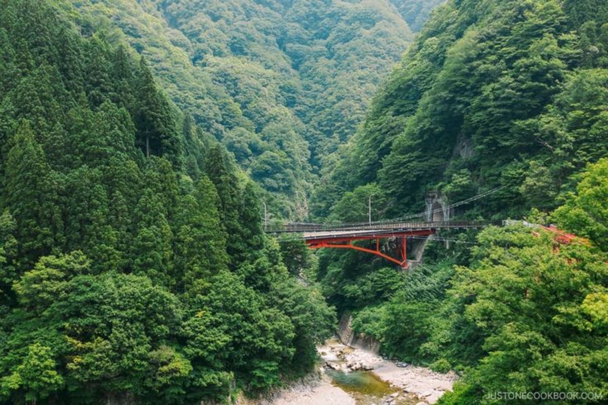 From Kanazawa: Kurobe Gorge, Unazuki Onsen, and Shomyo Falls
