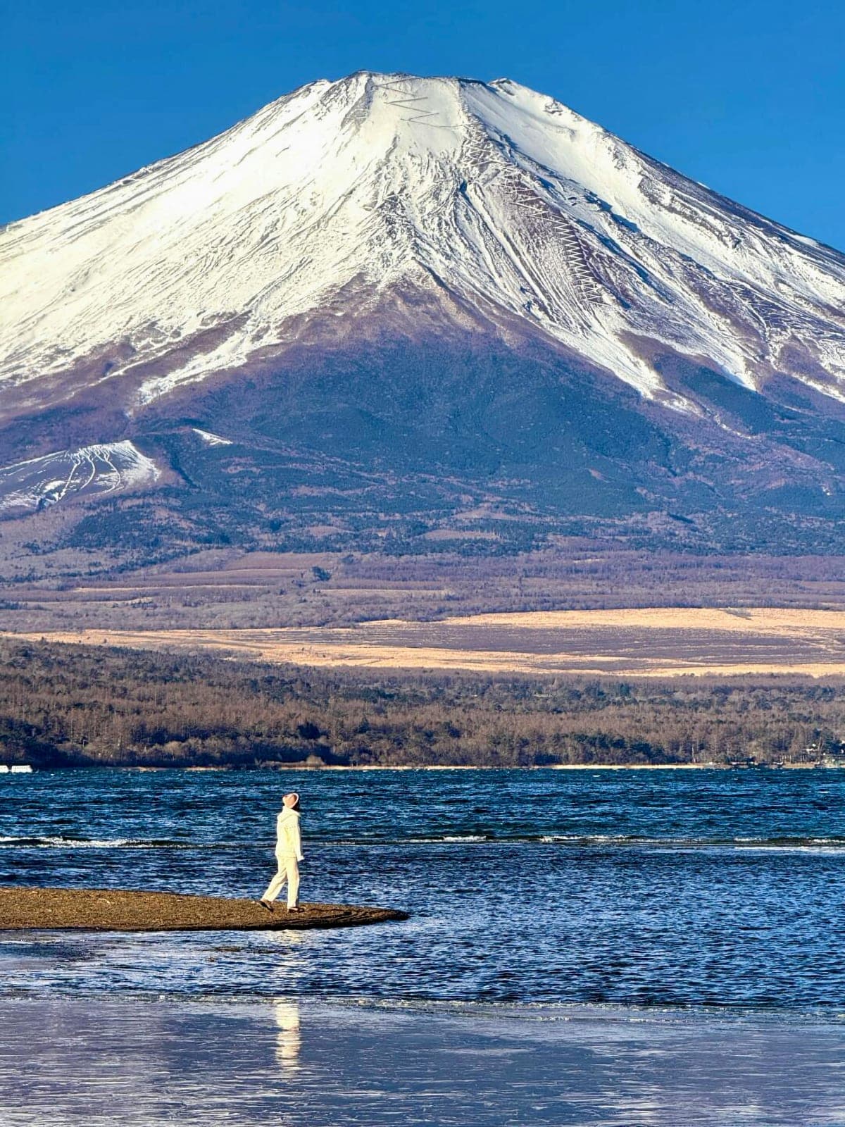 Tokyo: Mt Fuji & Hakone Ropeway, Lake Ashi Cruise,Owakudani