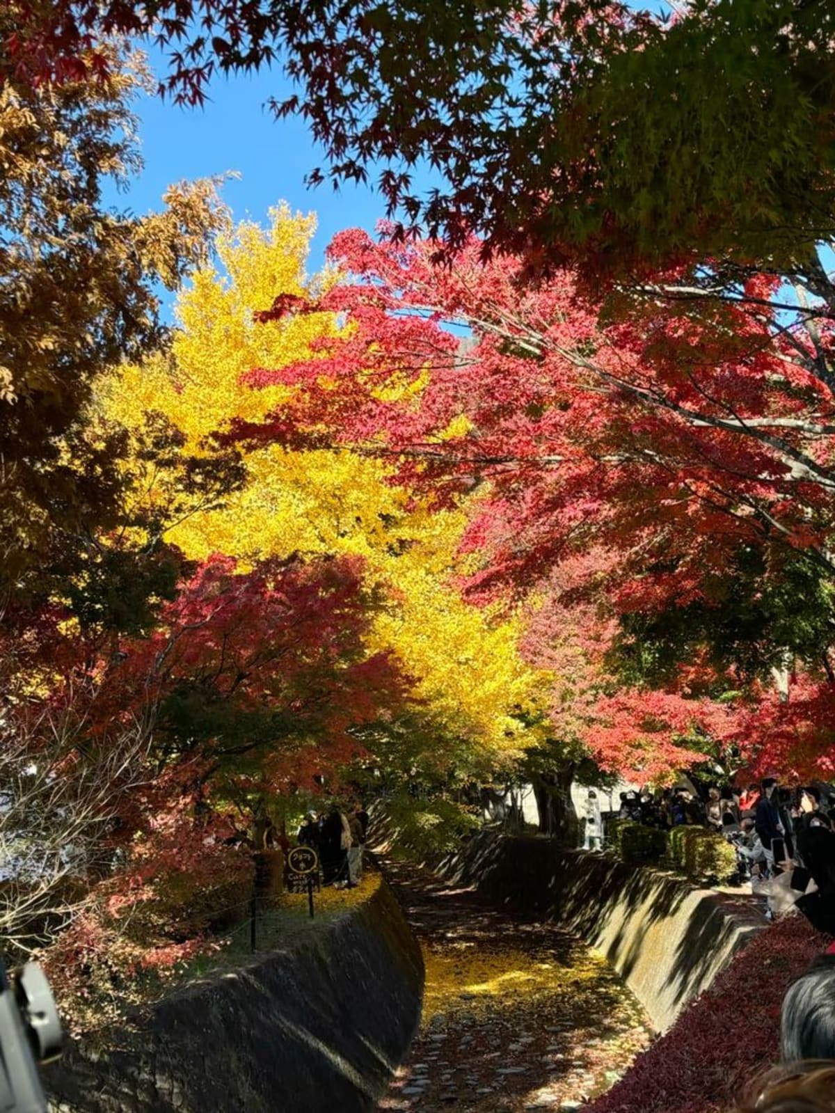 Tokyo: Mt Fuji Hidden Gems Private Tour with Hotel Pickup