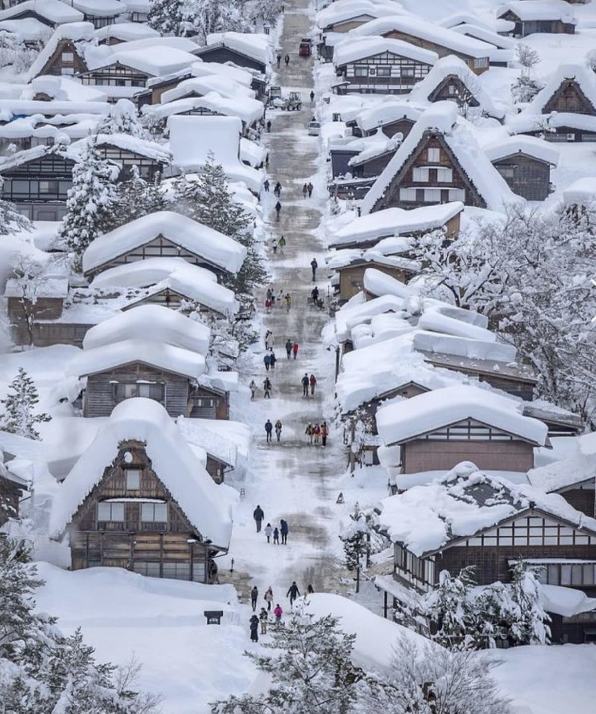 From Kanazawa/Toyama: Snow Wall & Mysterious Valley Day Tour