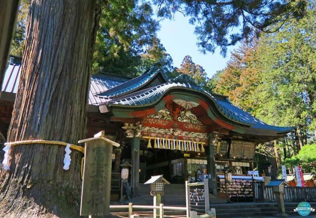 Tokyo: Mt Fuji & Gotemba Premium Outlets Private Tour