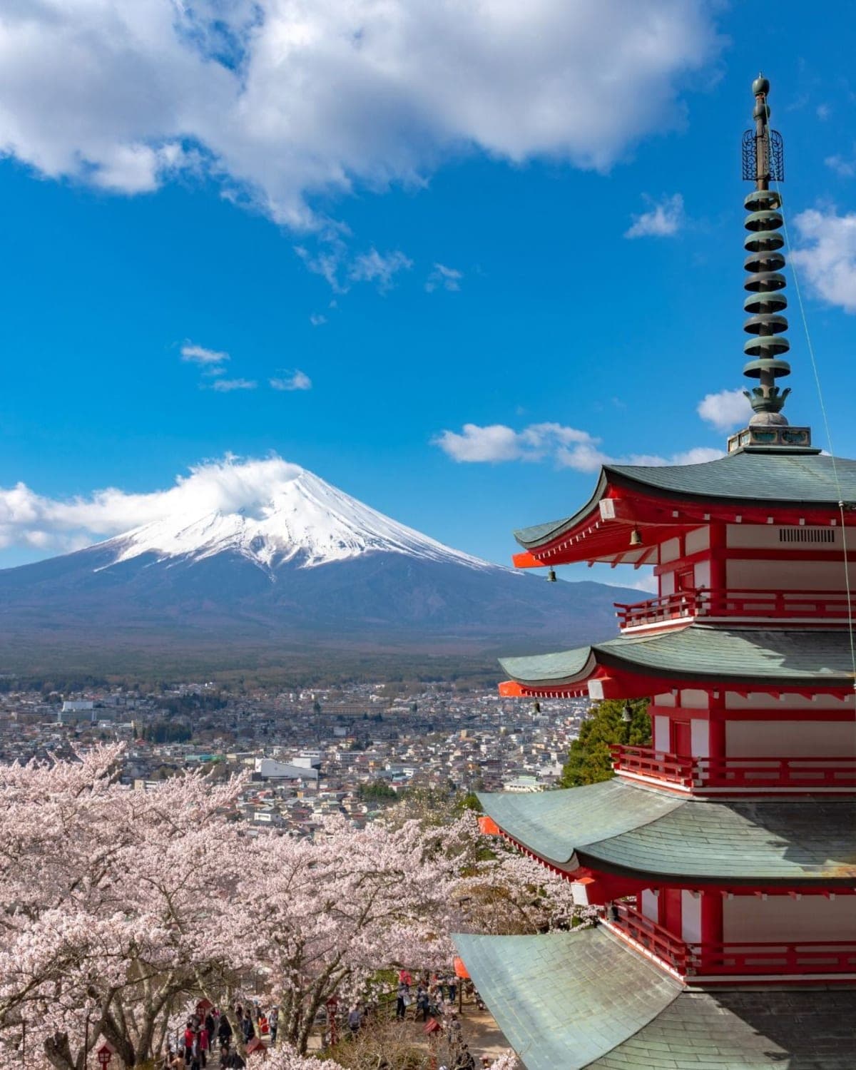 Tokyo: Mt Fuji & Gotemba Premium Outlets Private Tour
