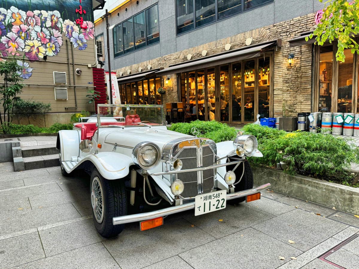 Kyoto:Private Guided Tour on Luxury Vehicle with photography