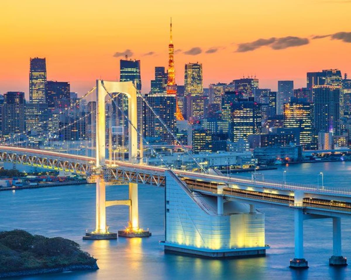 Tokyo Full-Day Sightseeing City Tour with English Driver