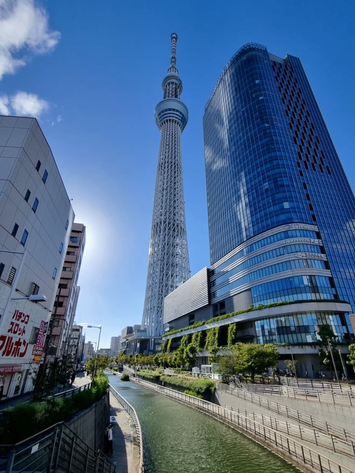 Tokyo Full-Day Sightseeing City Tour with English Driver