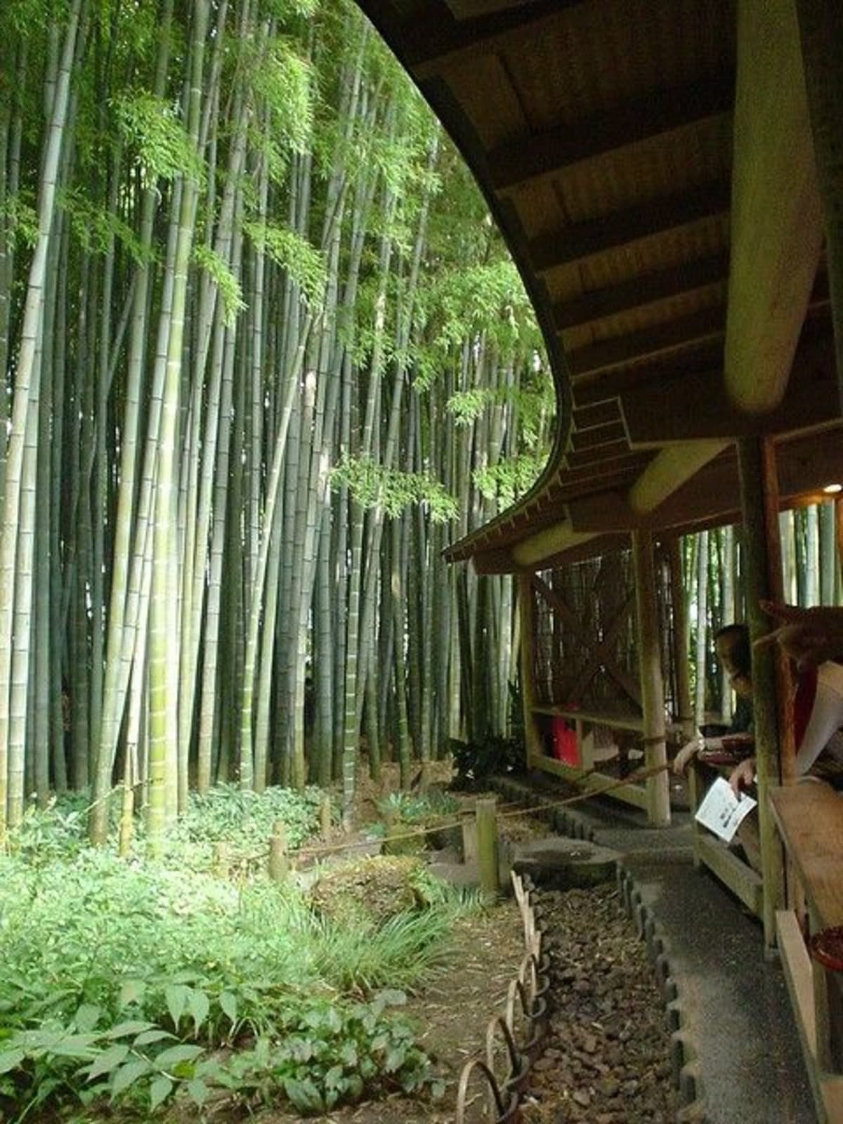 From Tokyo : Kamakura & Enoshima Island Private Day Trip